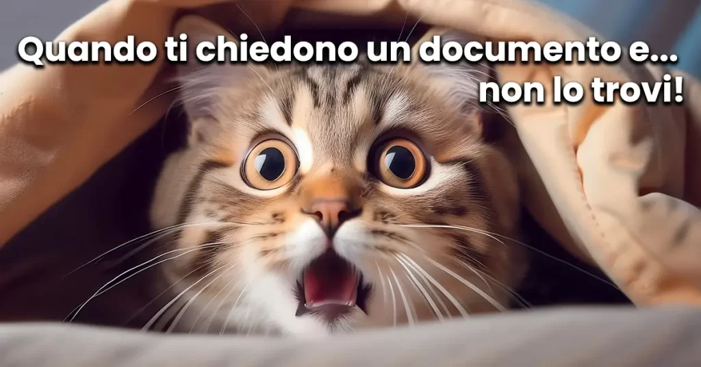 archivio digitale organizzato